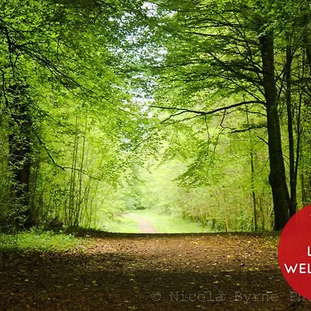The Lakes Wellness Self Catering